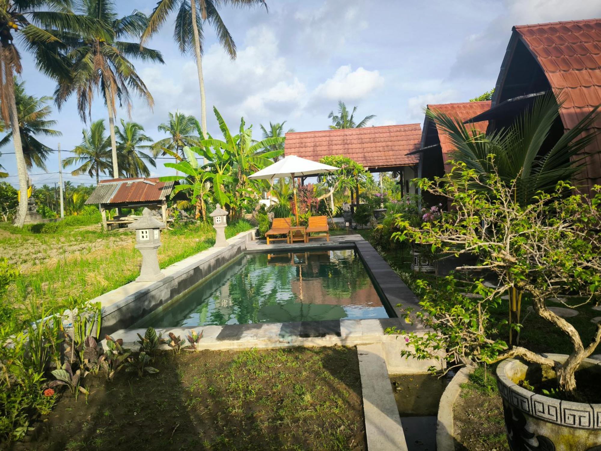 Eling Ubud Guesthouse ภายนอก รูปภาพ